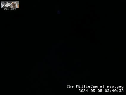 (img) Live MillieCam View