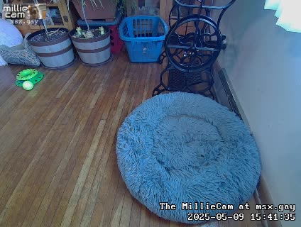 (img) Live MillieCam View